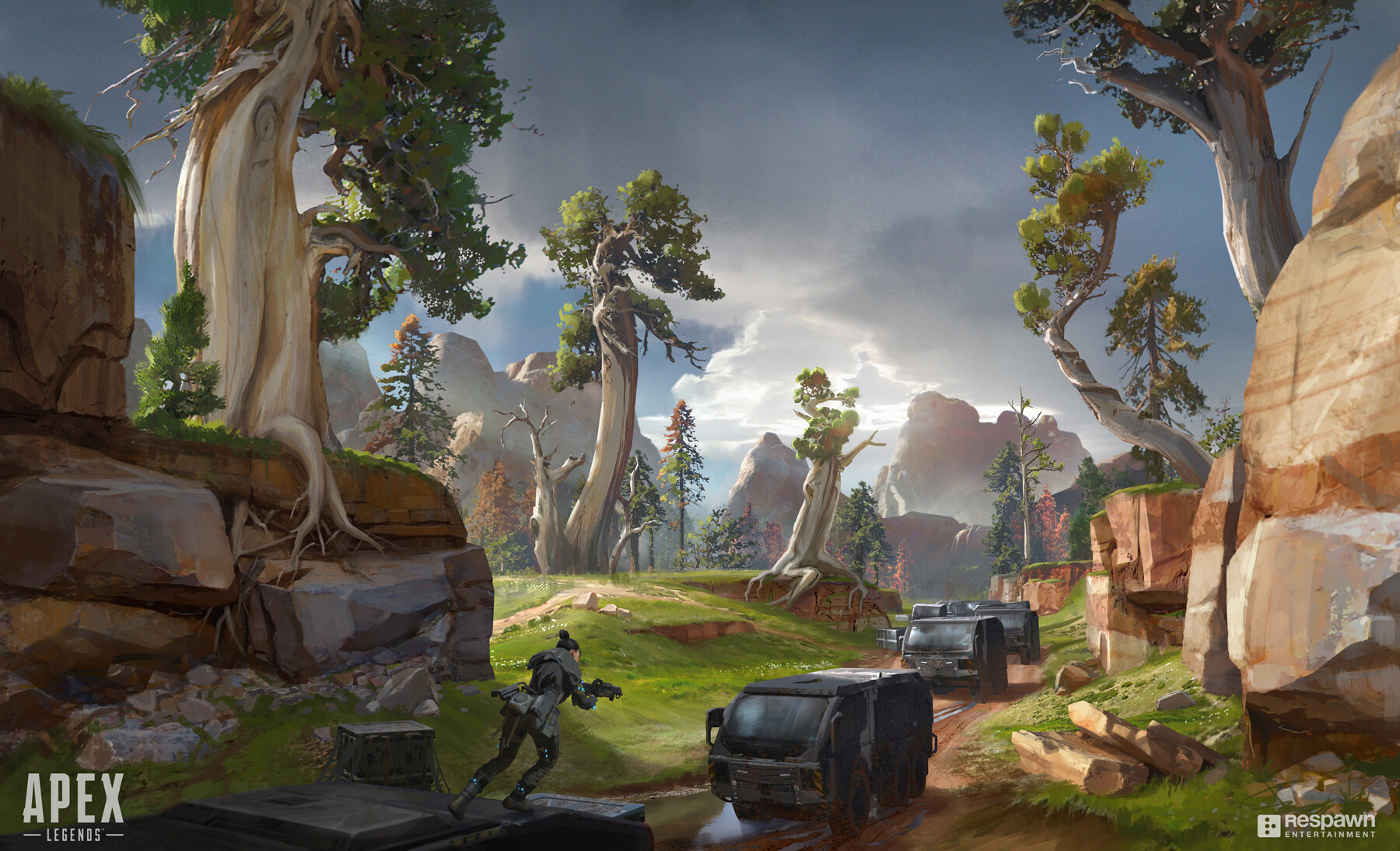 不仅补强了 不仅补强了