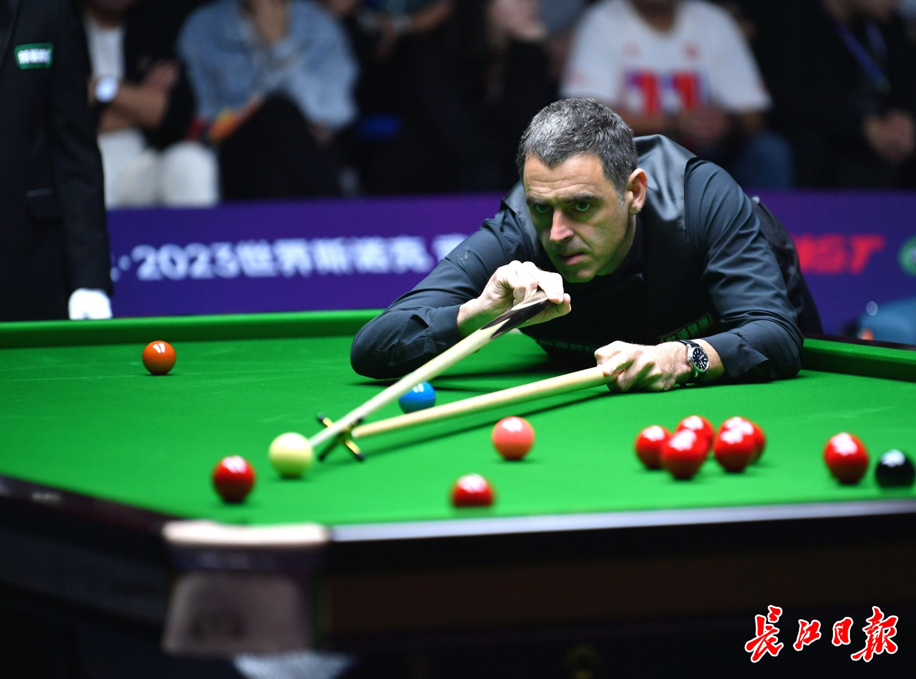 往往是被忽 往往是被忽