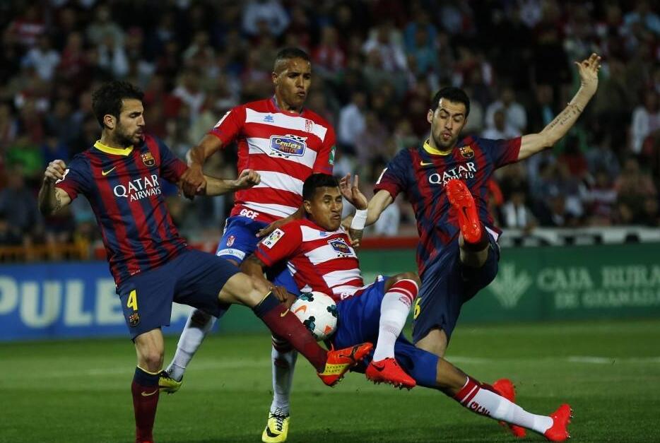 而林葳作为 而林葳作为