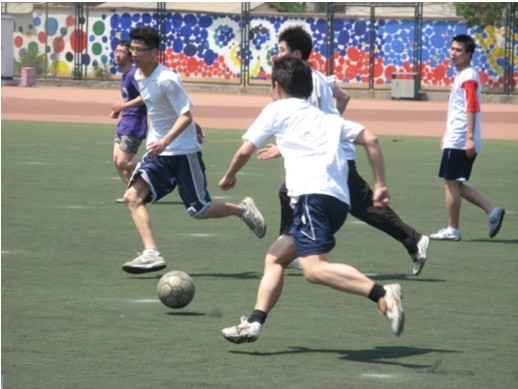 通过引入更 通过引入更