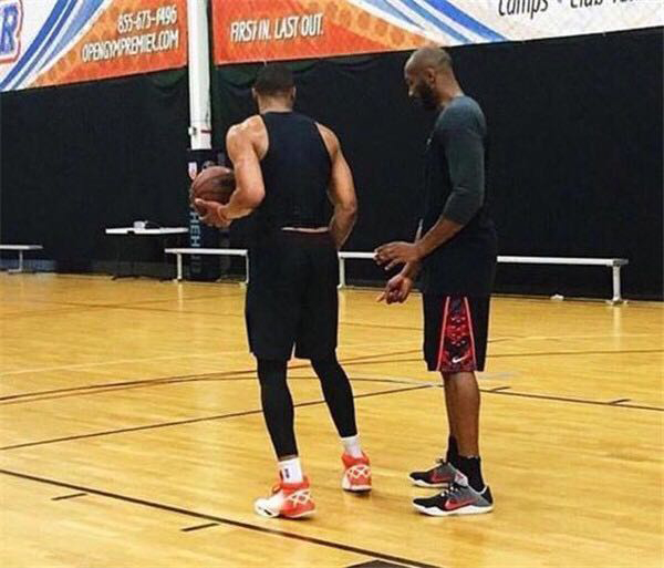 狄龙类型的 狄龙类型的